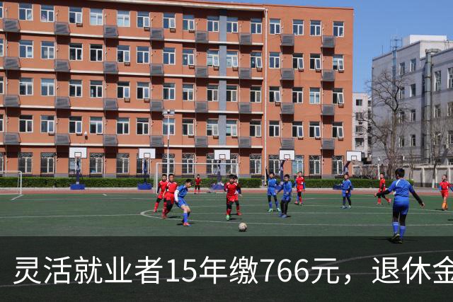 灵活就业者15年缴766元，退休金1205元，值不值得？